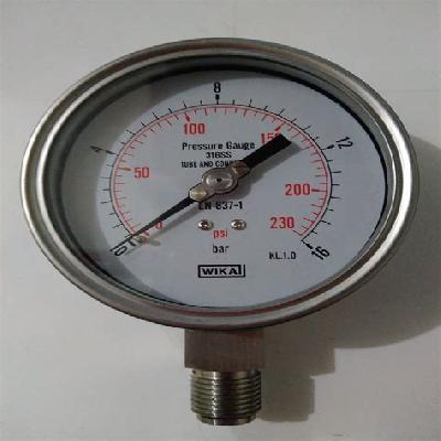 SS Pressure Gauge