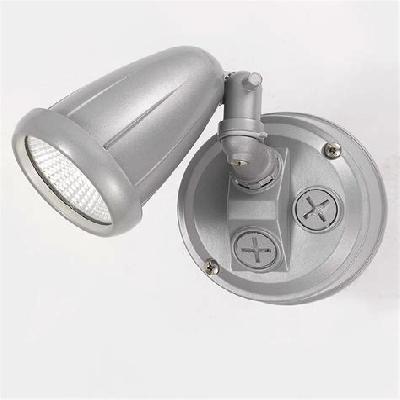 LED Spot Light 10 W