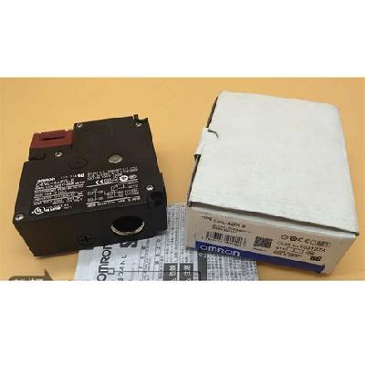 Guard Lock Safety-Door Switch (04)