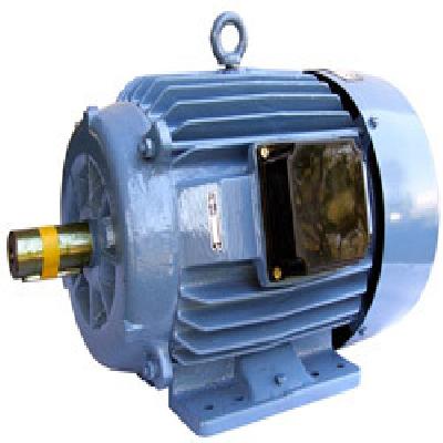 Crane Duty Motor