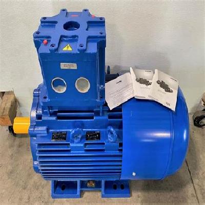 Flame Proof Electric Motors