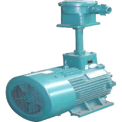 Flame Proof Motors