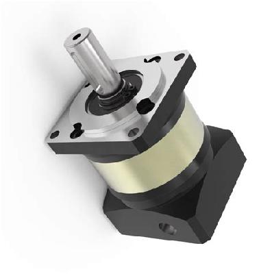 Precision Planetary Gearbox