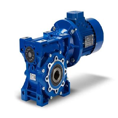 NWS Series Worm Gearbox for Tough Environment