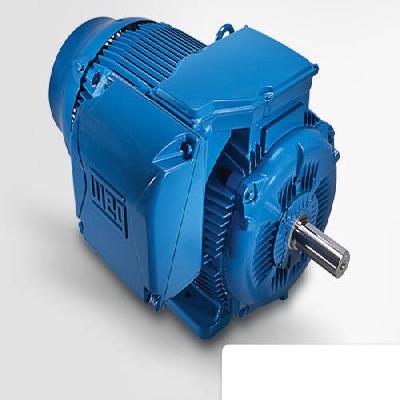 Energy Efficient Electric Motors