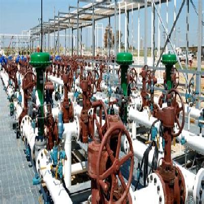 Complex Manifold System