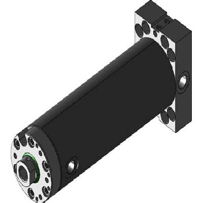 Hydraulic Cylinder with External Guide