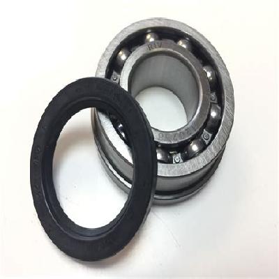 Seal Bearing