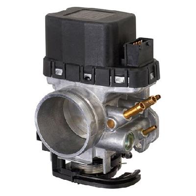 Fuel Injector Bodies