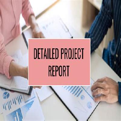 Detailed Project Report Services