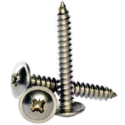 SS Self Tapping Screw