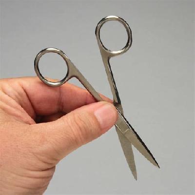 Scissor Stainless Steel