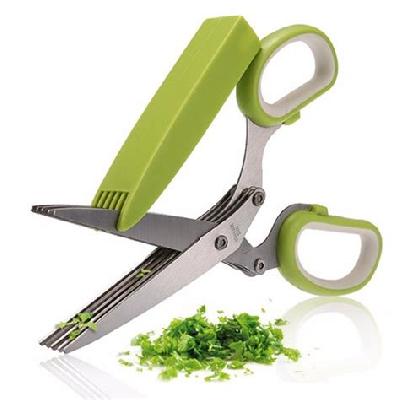 Scissor Stainless Steel with Cover