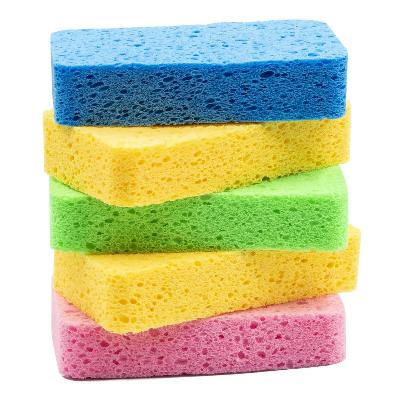 Cleaning  Sponge