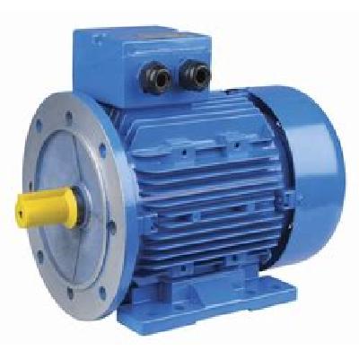 Crompton Greaves Vibrator Motor