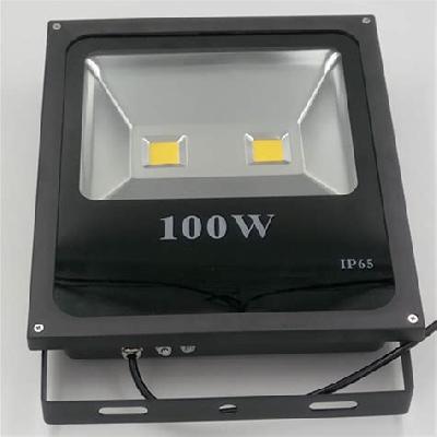 100W LED Flood Light