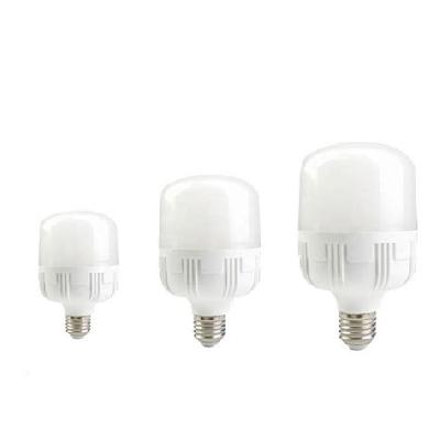 13W LED T Bulb