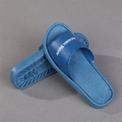 Blue ESD Sleepers