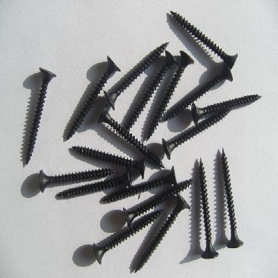 Black Gypsum Board Screw
