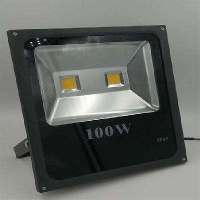 100 Watt   LED   Outdoor Flood Light