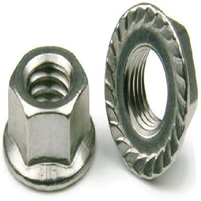 Hex Flange Nut