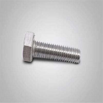 SS Hex Bolt