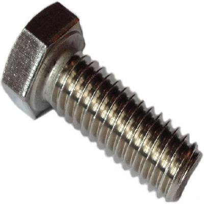 SS Hex Bolt 