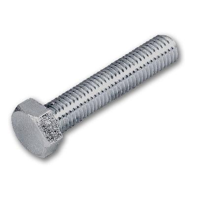 Stainless Steel Hex Bolt