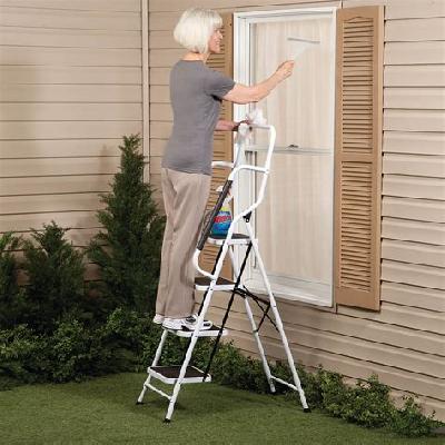 Safety Ladder