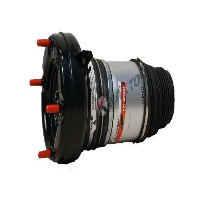 Audi A6 Rear Airmatic Shocker Balloon