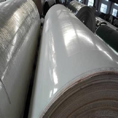 Food Grade PVC Conveyor Belts
