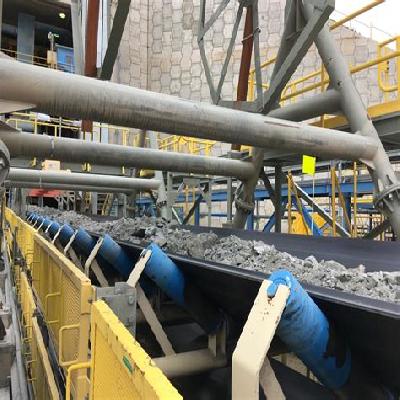 Phoenix Conveyor Belt