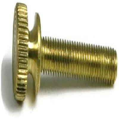 Brass Knurled Bolt