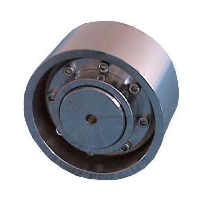 Flexible Type Brake Drum Coupling