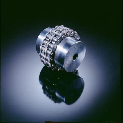 Roller Chain Coupling