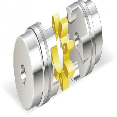 Jaw Coupling ( SWS Type )