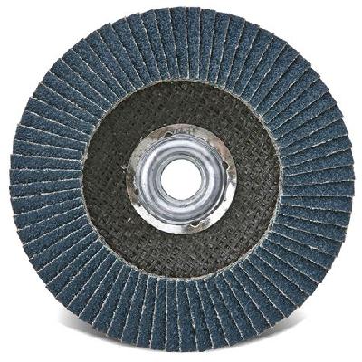 Flap Disk