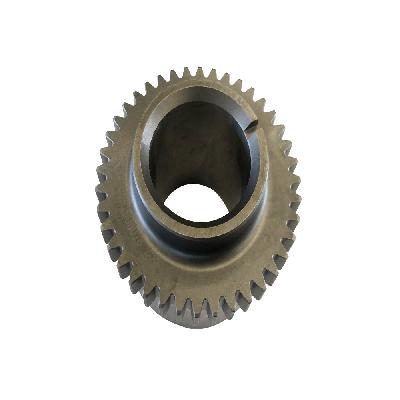 Stainless Steel Spur Gear