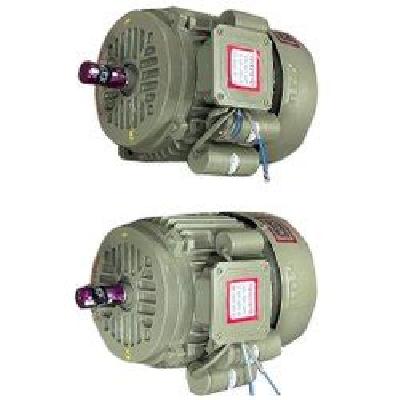 Chaff Cutter Single Phase Motor 2 HP  Copper