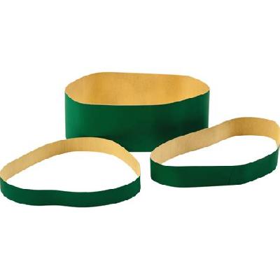 oil skimmer belt