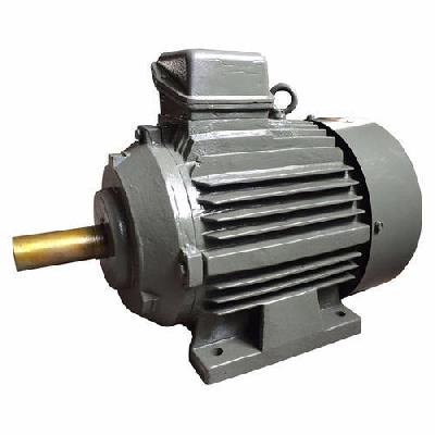 Flour Mill Electric Motor
