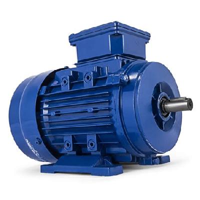 Three Phase Motor