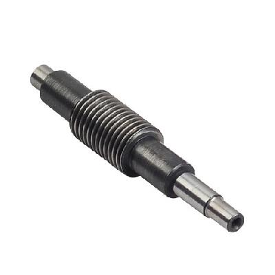 Worm Gear And Shaft