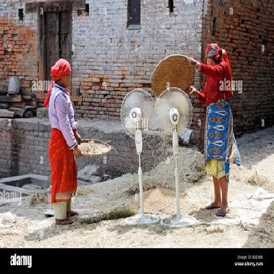 Rice Winnowing Fan
