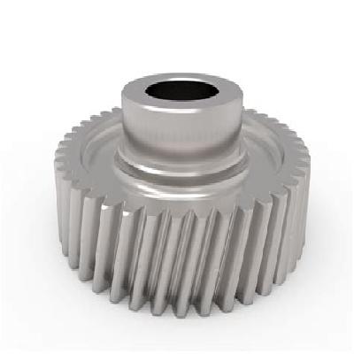 Worm Wheel Gear