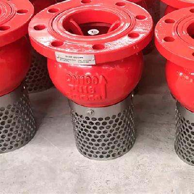 Cast Iron Foot Valve