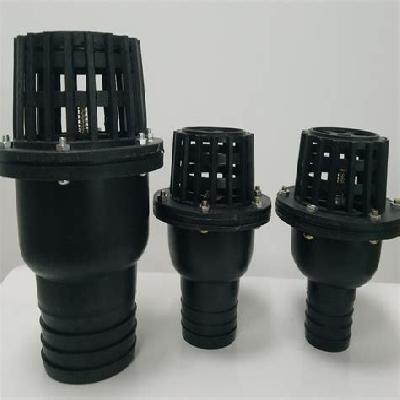 PP Foot Valves