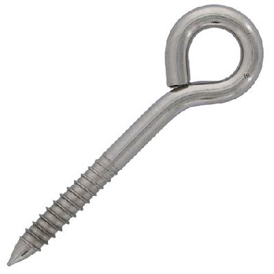 Stainless Steel Eye Bolt