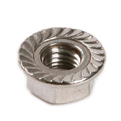 Stainless Steel Flange Nut