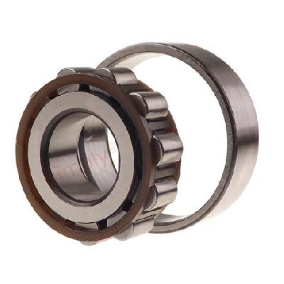 Single Row Cylindrical Roller Bearing